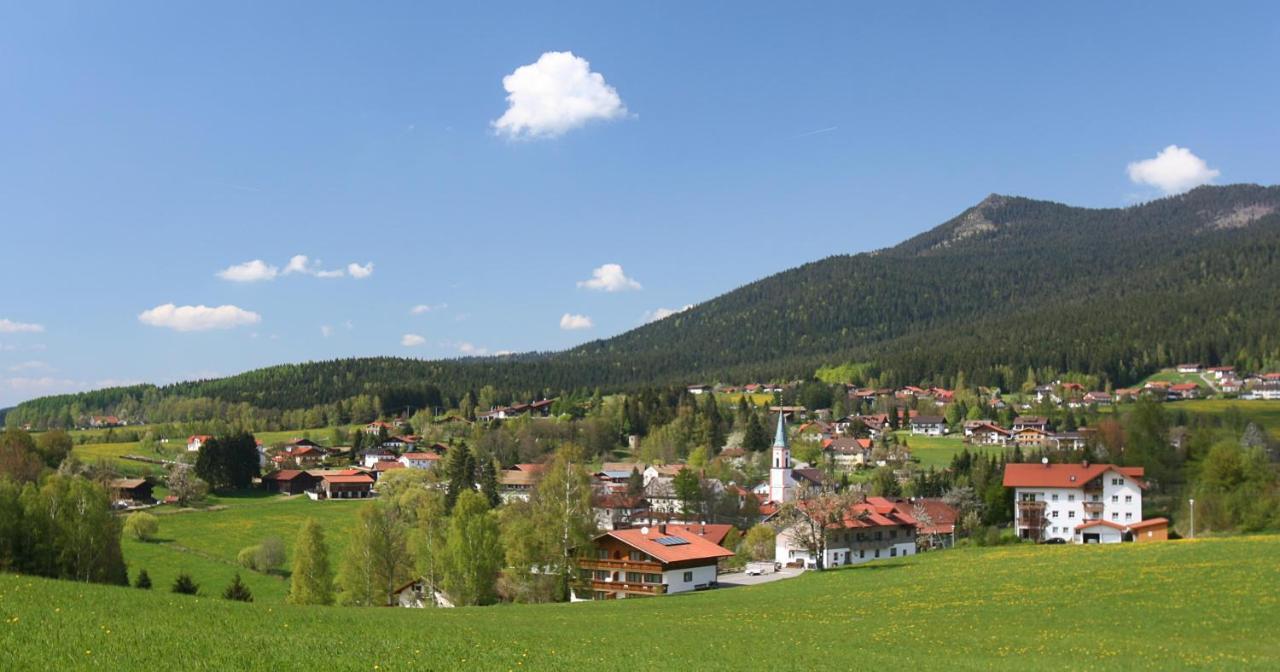 Garnihotel Zur Linde - Bayerischer Wald - Aktivcard Mit 154 Kostenfreien Leistungen - Kostenloser Parkplatz Lohberg Zewnętrze zdjęcie