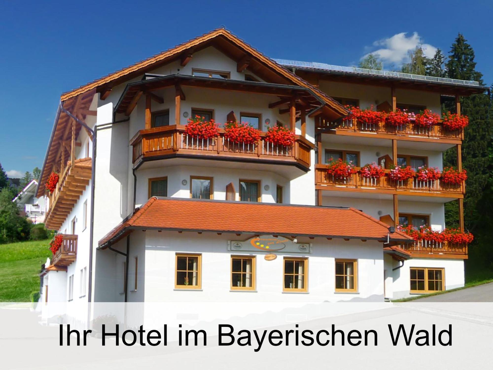 Garnihotel Zur Linde - Bayerischer Wald - Aktivcard Mit 154 Kostenfreien Leistungen - Kostenloser Parkplatz Lohberg Zewnętrze zdjęcie